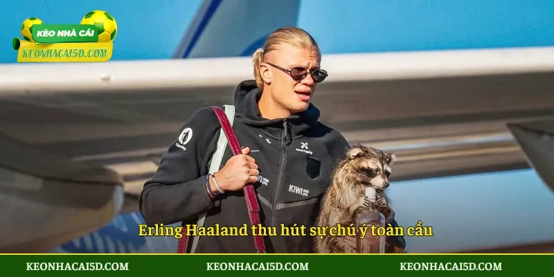 Erling Haaland thu hút sự chú ý toàn cầu