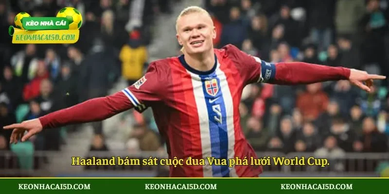 Haaland bám sát cuộc đua Vua phá lưới World Cup.