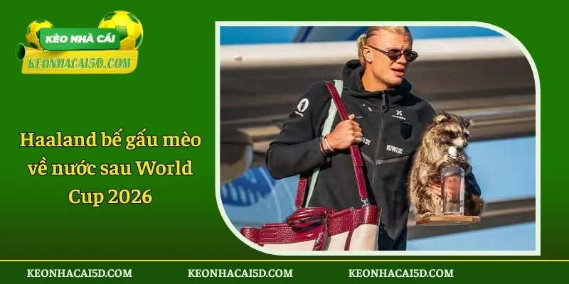 Haaland bế gấu mèo về nước sau World Cup 2026