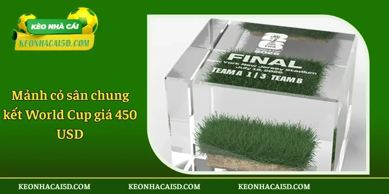 Mảnh cỏ sân chung kết World Cup giá 450 USD