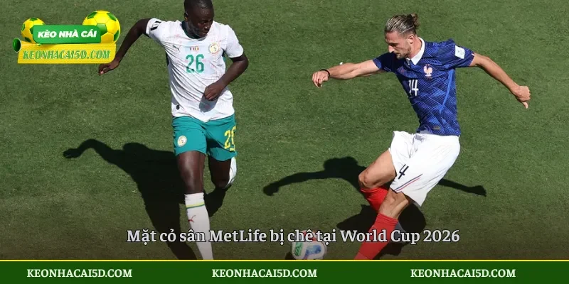 Sân Chung Kết World Cup Bị Chê Mặt Cỏ MetLife 2 Mặt cỏ sân MetLife bị chê tại World Cup 2026