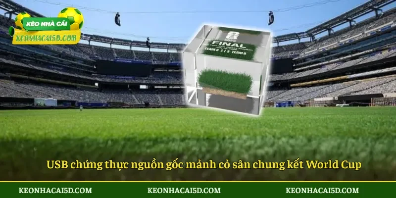 USB chứng thực nguồn gốc mảnh cỏ sân chung kết World Cup